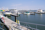 Marina Redevelopment, Environmental Compliance and Planning or Environmental Permit consulting